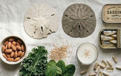 The Sand Dollar Secret: What the Ocean Reveals About Your Bones