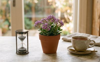 Decoding Menopause: What Each Phase Is Actually Doing to You