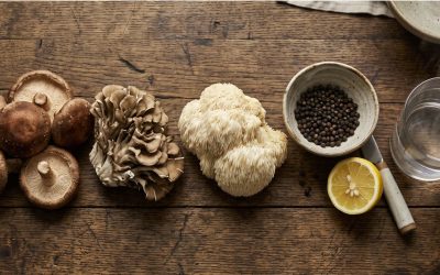 The Case for Mushrooms: What Your Immune System Needs Before Cold Season Finds You First